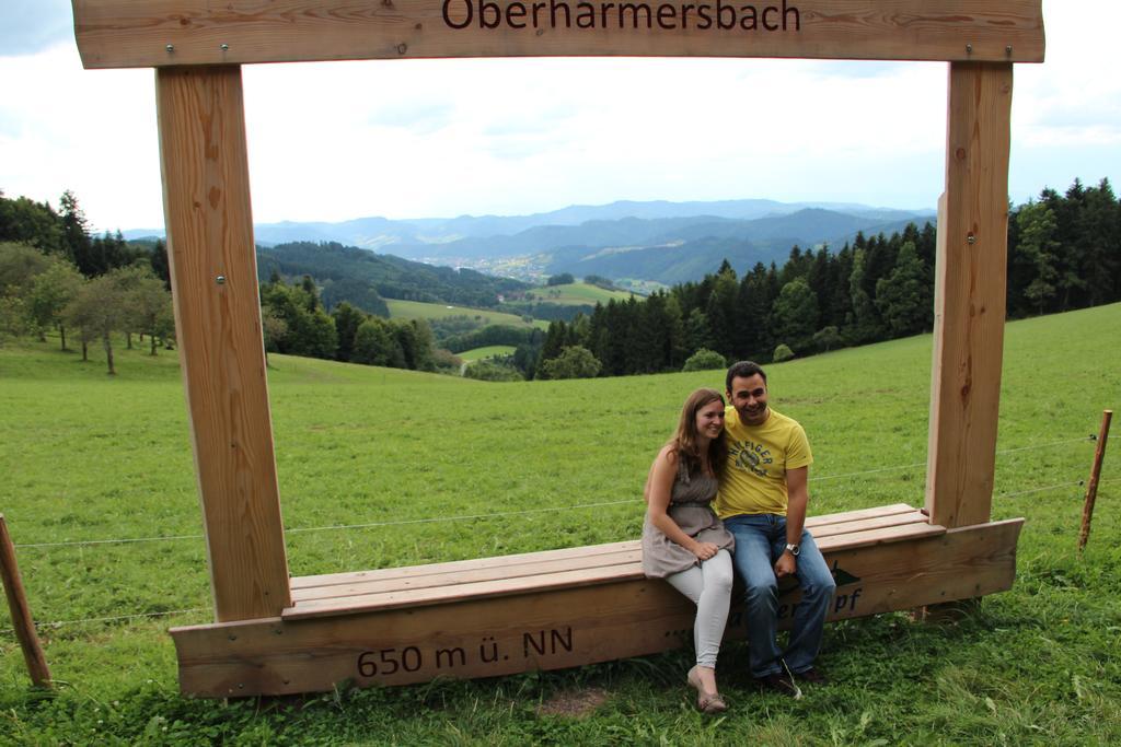 Pension Haus Rose Oberharmersbach Pokój zdjęcie
