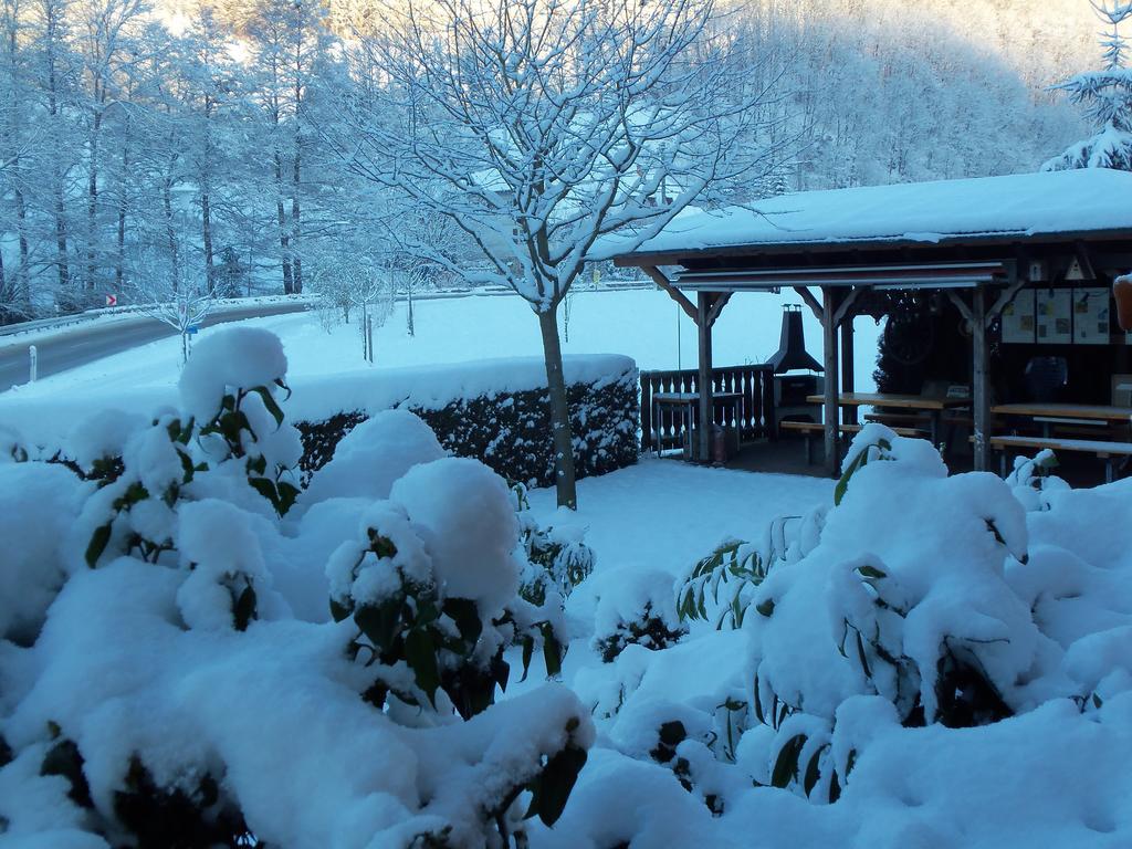 Pension Haus Rose Oberharmersbach Zewnętrze zdjęcie
