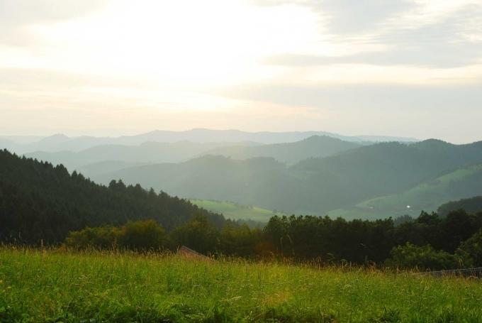 Pension Haus Rose Oberharmersbach Zewnętrze zdjęcie