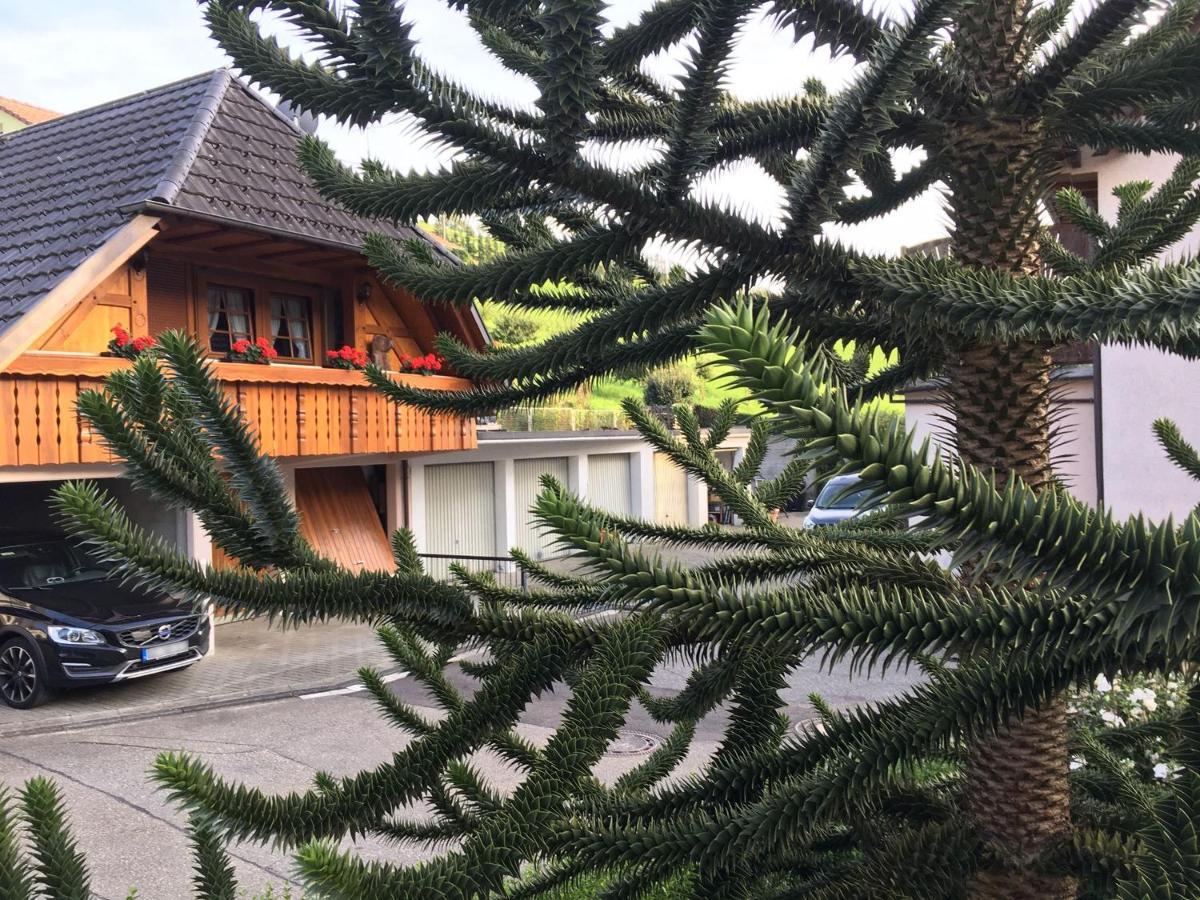 Pension Haus Rose Oberharmersbach Zewnętrze zdjęcie